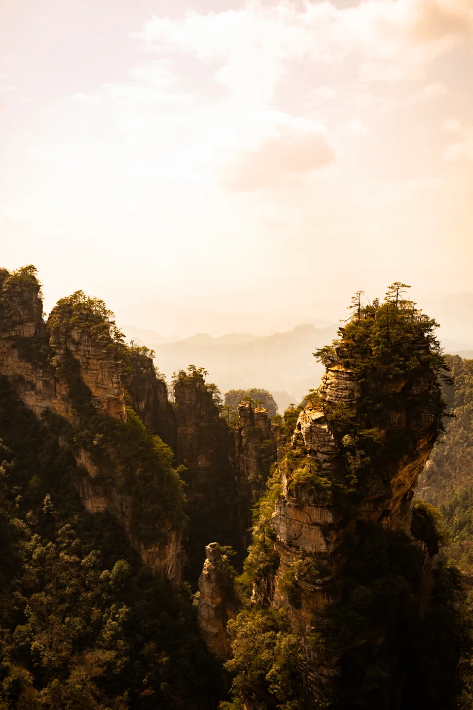 Voigtlander Nokton 35mm f/1.4 II MC lens